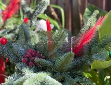 Подарочные коробки, новогодние композиции.