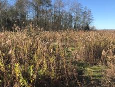 Земля Кто машину отдаст отдам или же семёрка