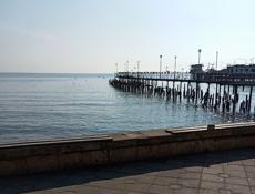 Ёлка красивая Силиконовая литая