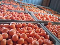 Продаю мандарины 