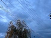 сдается помещение 