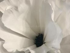 Цветы на ёлочки 