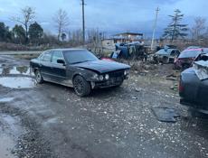 Разбор 7116999