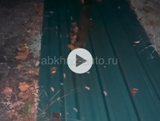 Профностил