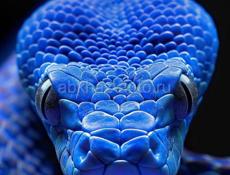 Игровой Ноутбук 