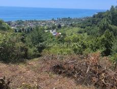 Гагра Белые Скалы