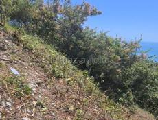 Гагра Белые Скалы