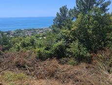 Гагра Белые Скалы