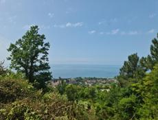 Гагра Белые Скалы