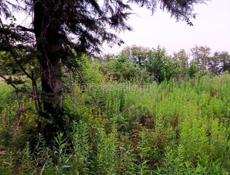 Продаётся земельный участок