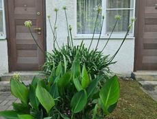 Продаётся Мини-отель