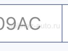 Х009АС