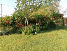 Куплю телефон, Андройд в приделах до 30 т, 