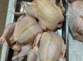 Куры. Куриное мясо