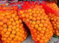 Мандарины 