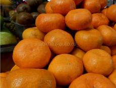 Куплю крупный мандарин