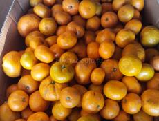 Продаю на Сок мандарины около 300 кг все по 20 р . 