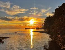 Оказываю помощь