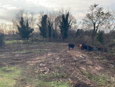 СРОЧНО УЧАСТОК БЕЛАЯ РЕЧКА 