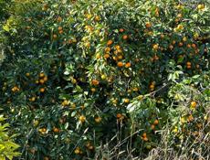 Продается 2 этажный дом