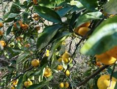 Продается 2 этажный дом