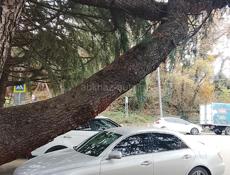 Поменяю стойки на койловеры