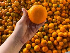 Продам мандарины 