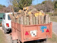 Продаю дрова Альха с доставкой.цена -6000 т.р. под камин 