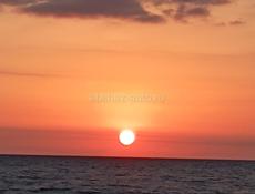 Куплю 2х ком кв 