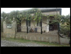 Нижняя эшера 