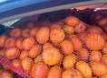 Продаем мандарины 