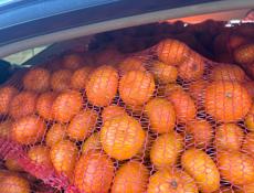Продаем мандарины 
