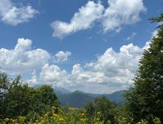 Участок на Дзидзария 