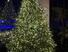 Елки Искусственные литые