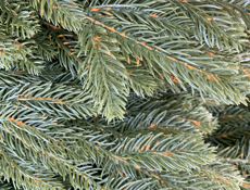 Елки Искусственные литые