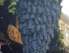 Продаётся телефон находится на новом районе