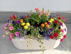 Цветочные вазоны 