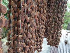 Сушенная хурма 