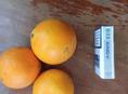Продаю апельсины около тонны 
