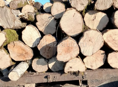 Продаётся дрова с Поквеше 