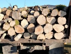 Продаётся дрова с Поквеше 