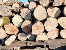 Продаётся дрова с Поквеше 