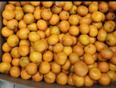 Мандарины 