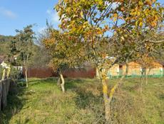 Участок 11 соток С.Лдзаа