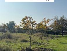 Участок 11 соток С.Лдзаа