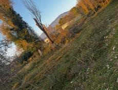 Алахадзы! Два участка. Один участок 40 соток, другой 24