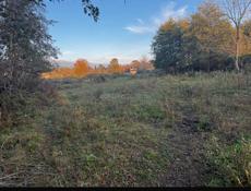 Алахадзы! Два участка. Один участок 40 соток, другой 24