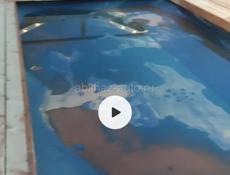 Строем басейны