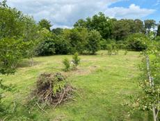 5 соток Пицунда