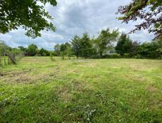 5 соток Пицунда